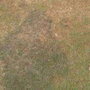 Meet your Posher, Sergio